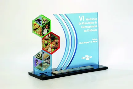 Troféu Hexágonos. Troféu padrão médio em acrílico