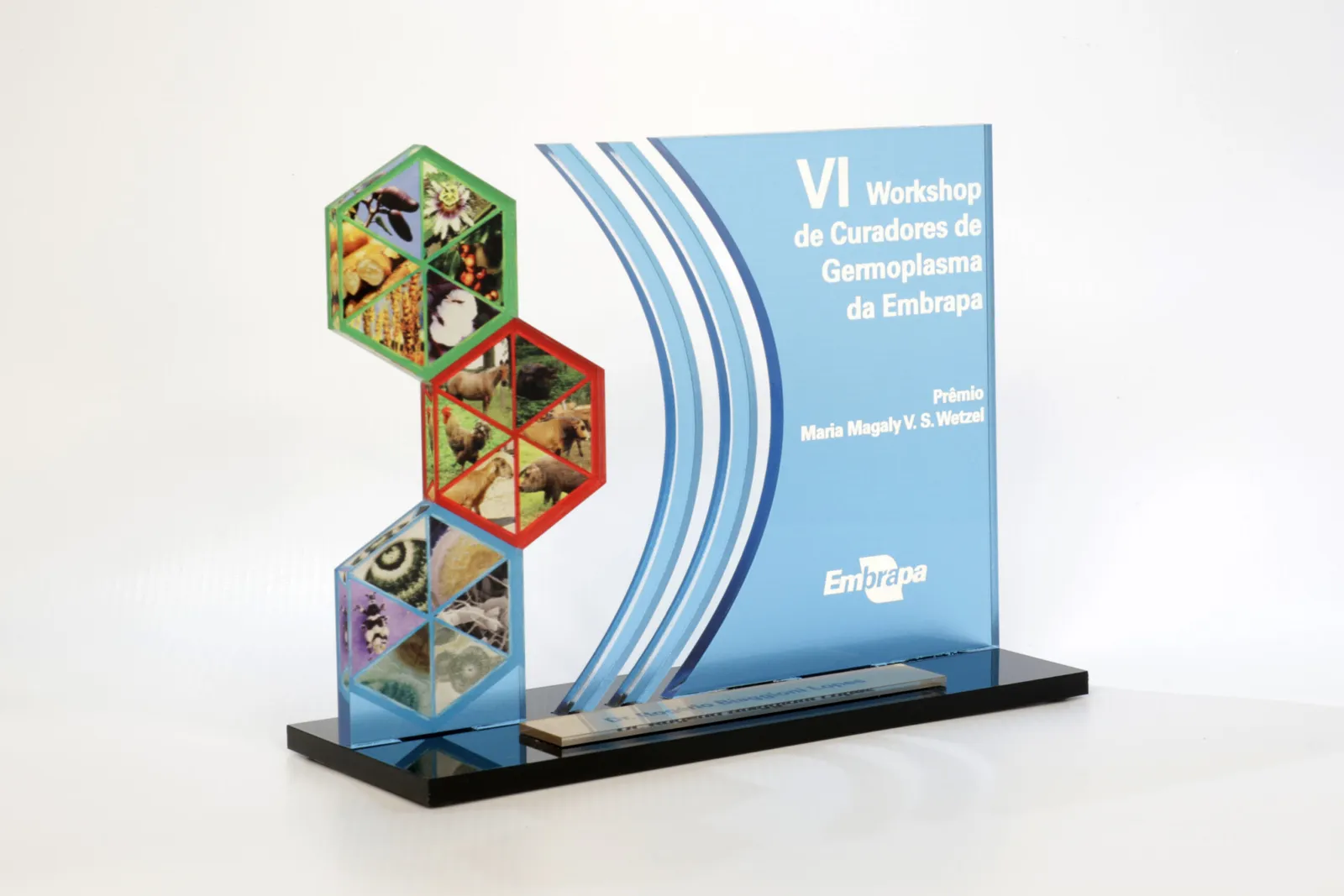 Troféu hexágonos. Acrílico com impressão UV